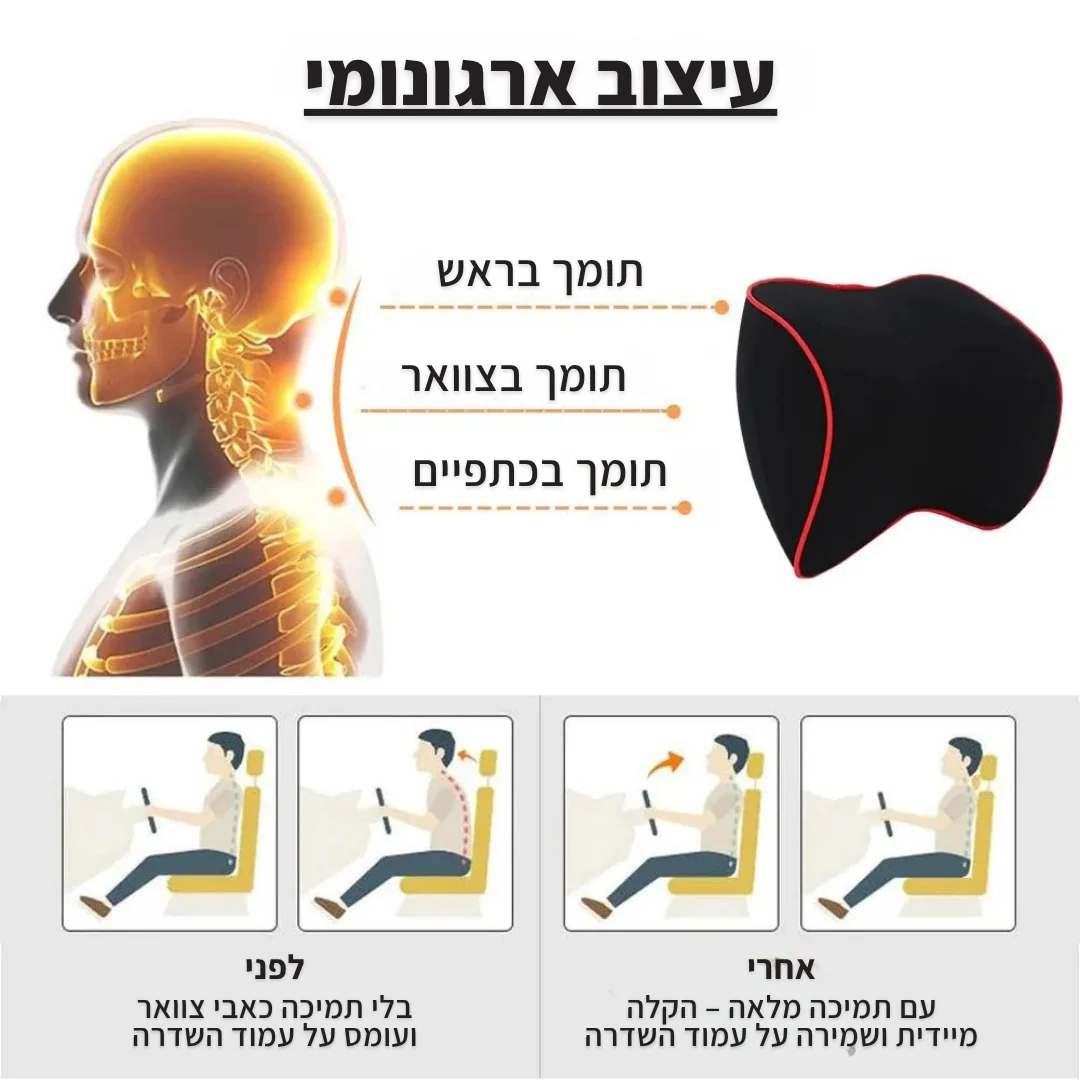 כרית רכב אורטופדית לתמיכה בצוואר ובגב - Image 2