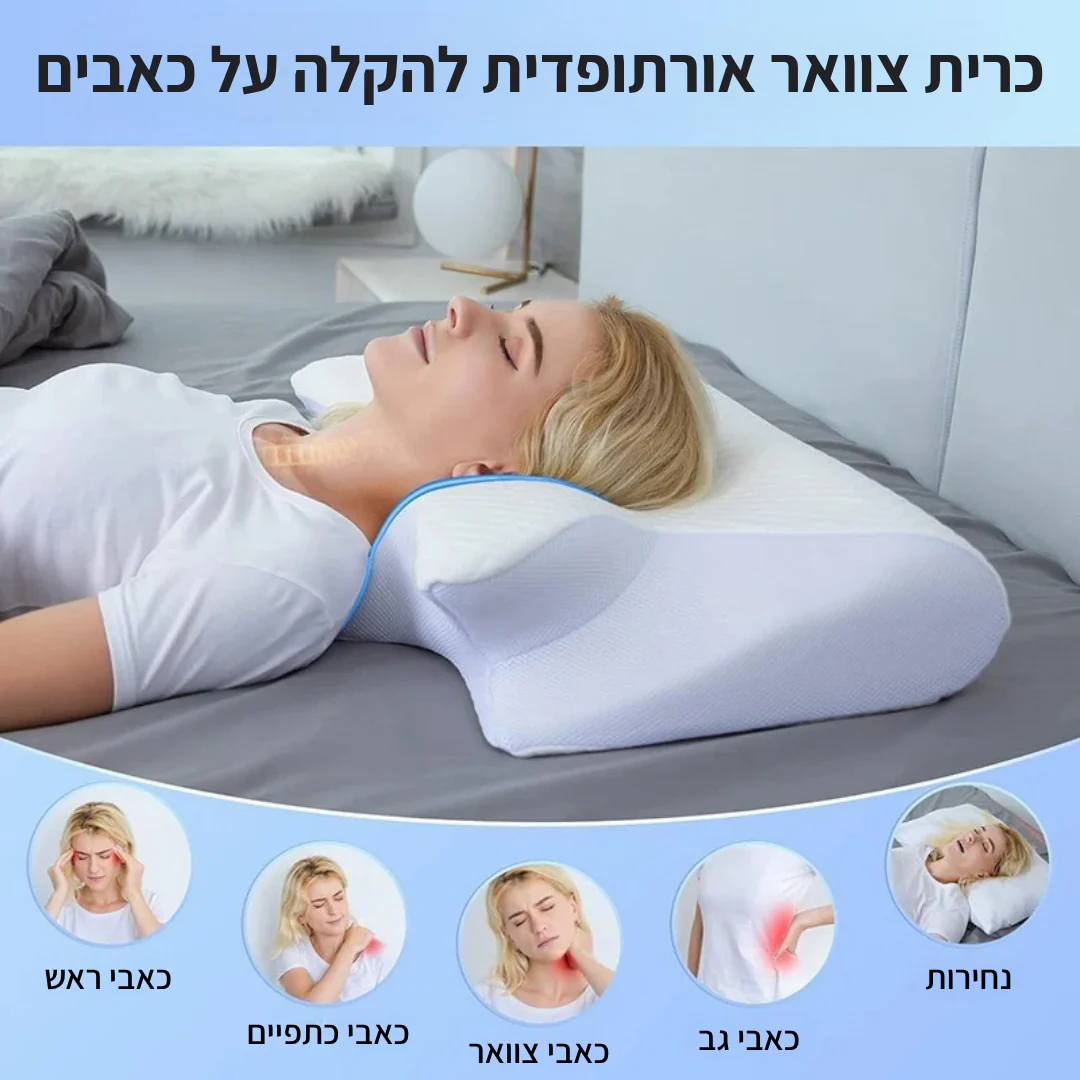 תמונה ממוזערת 2